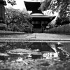 雨の鑁阿寺　