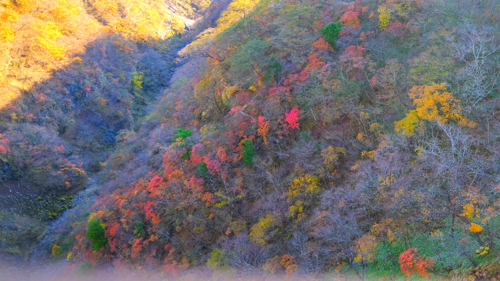 栃木路　霧降高原