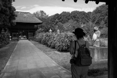 茂林寺