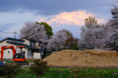 雨上がり