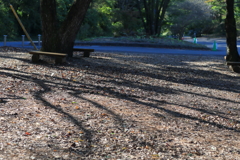赤城自然園