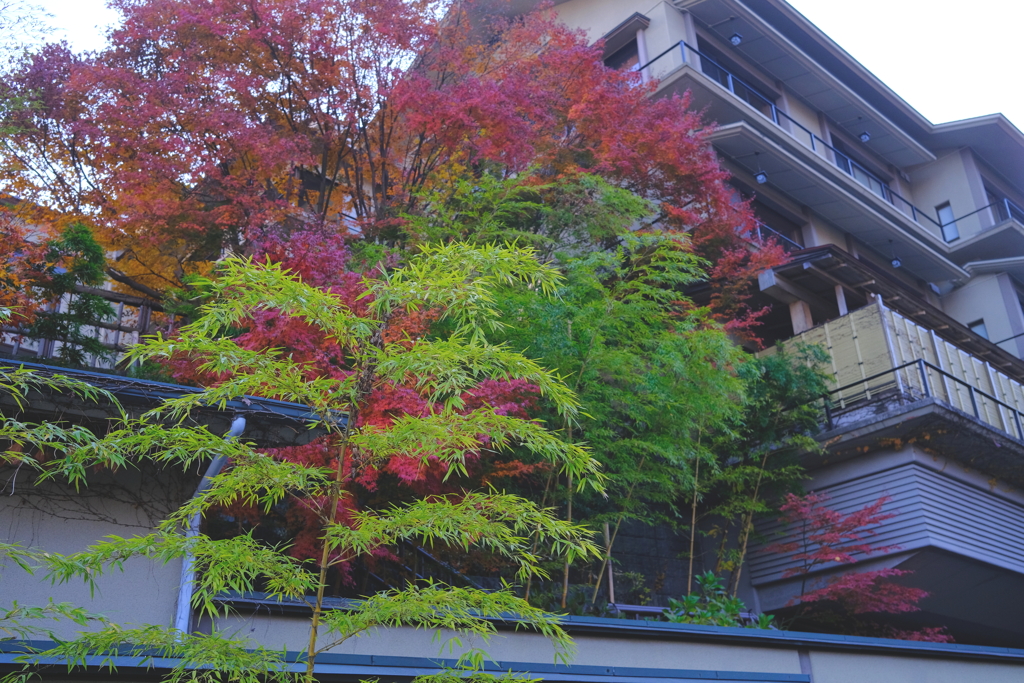 伊香保温泉街中散歩