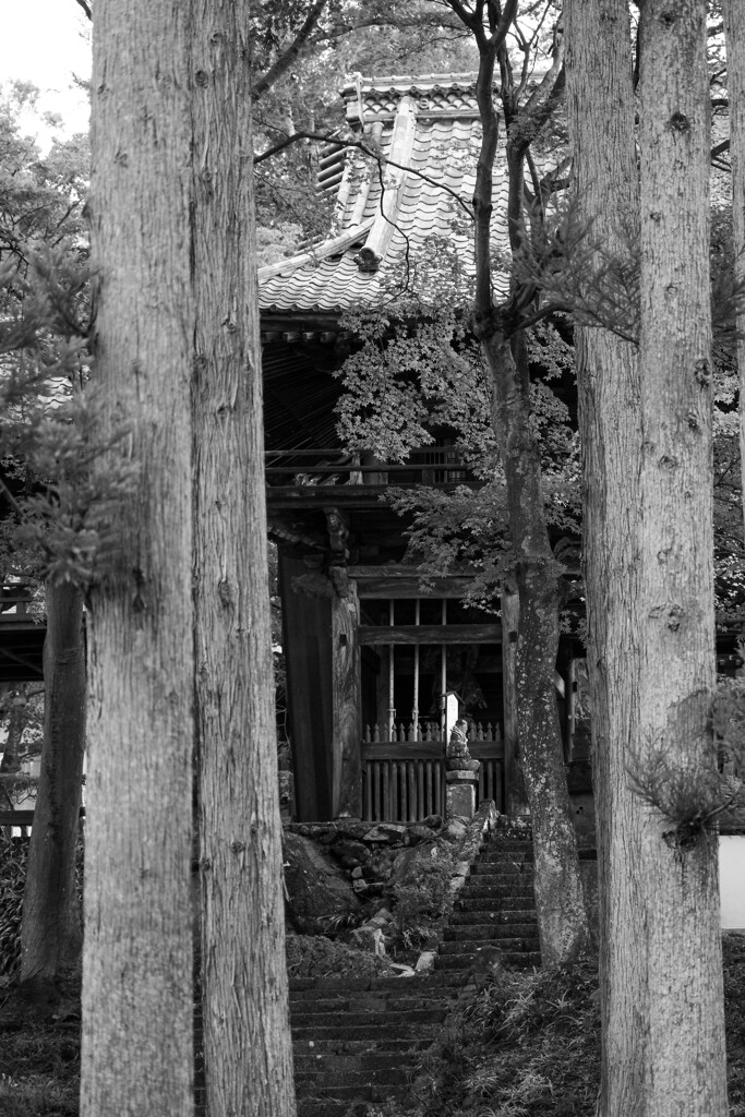 鳳仙寺の山門