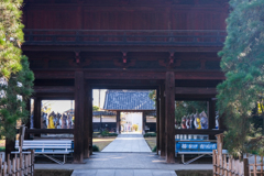 ぶんぶく茶釜の茂林寺