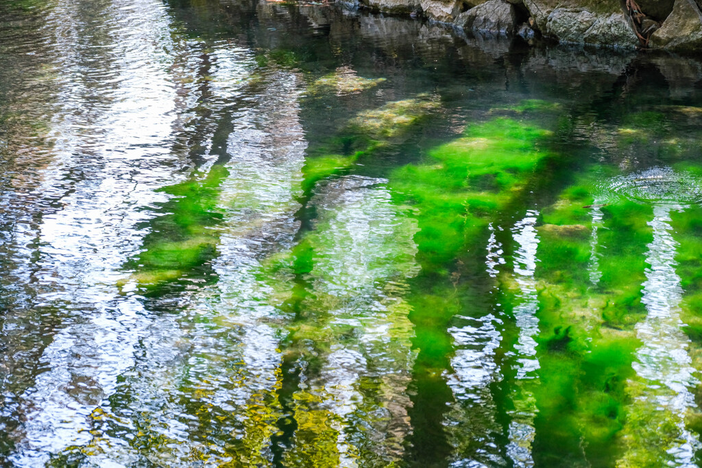 出流原湧水