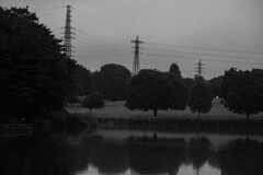 散歩道（五料沼）