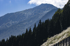 県境の山（谷川）
