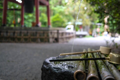 水沢寺