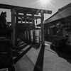 小泉さん　
