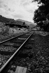 渡良瀬渓谷鉄道