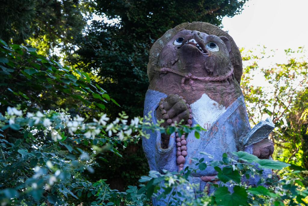 茂林寺