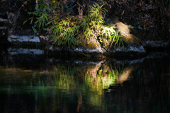 湧水池（赤見池）