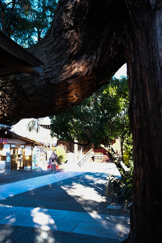 観音院（桐生市　群馬県）