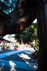 観音院（桐生市　群馬県）