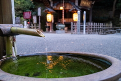 水沢の夜明け、