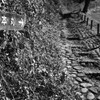 後閑城址公園