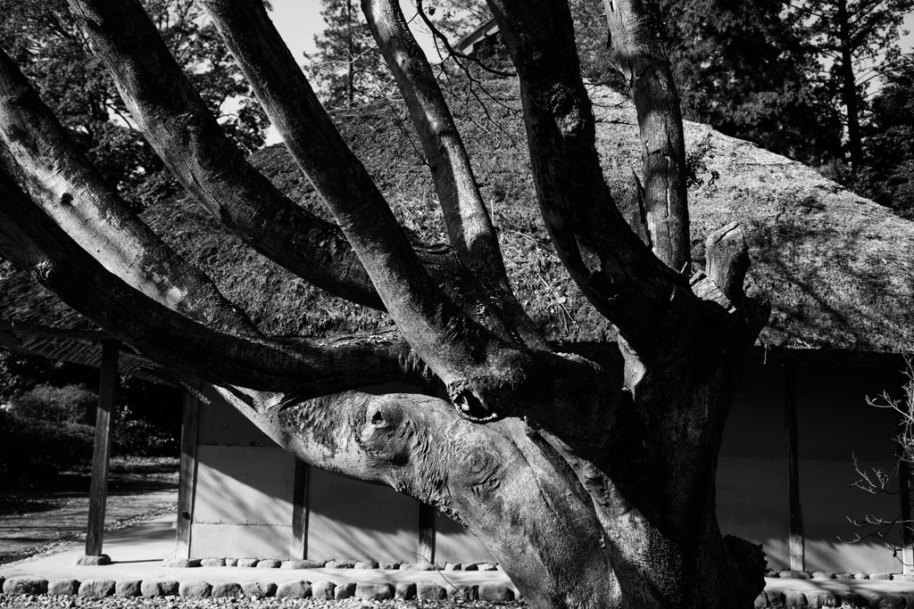 阿久沢亭（前橋市）