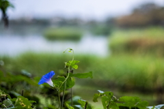 波志江湖畔-3
