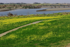 利根川（茨城県）