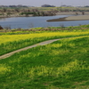 利根川（茨城県）
