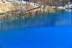 早春の青い湖畔、