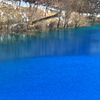 早春の青い湖畔、