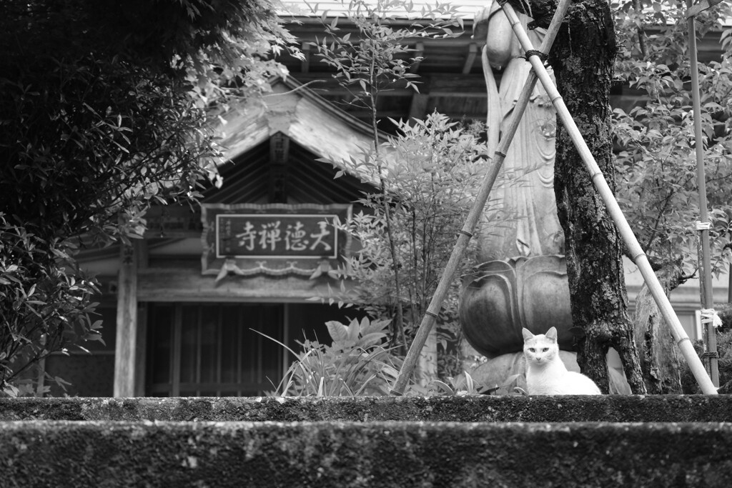 歓迎