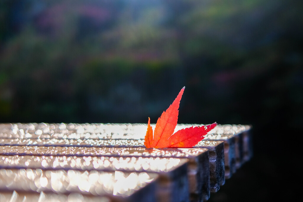 少林山（達磨時）