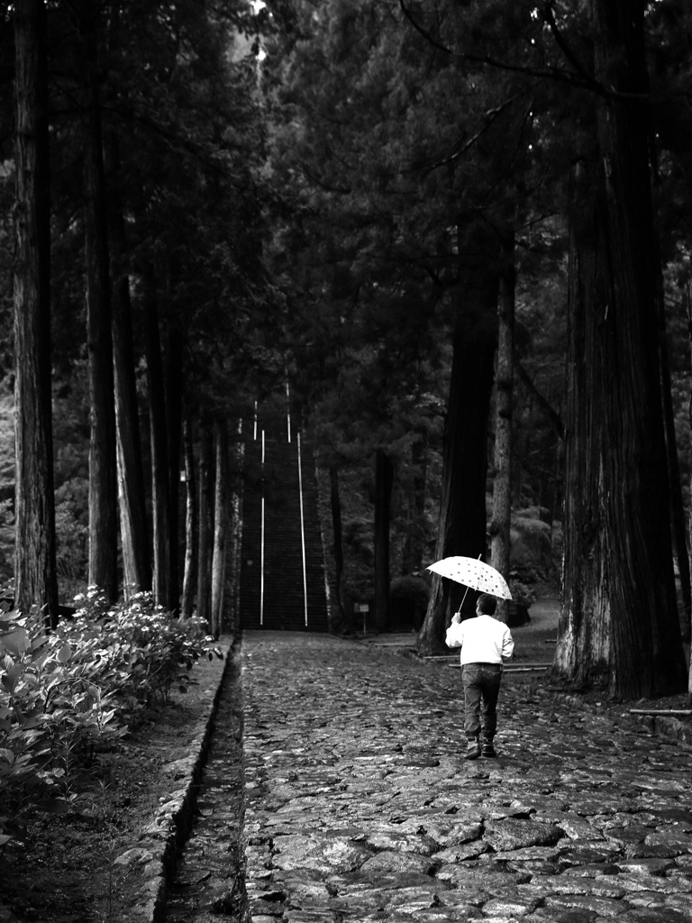 雨の参道、