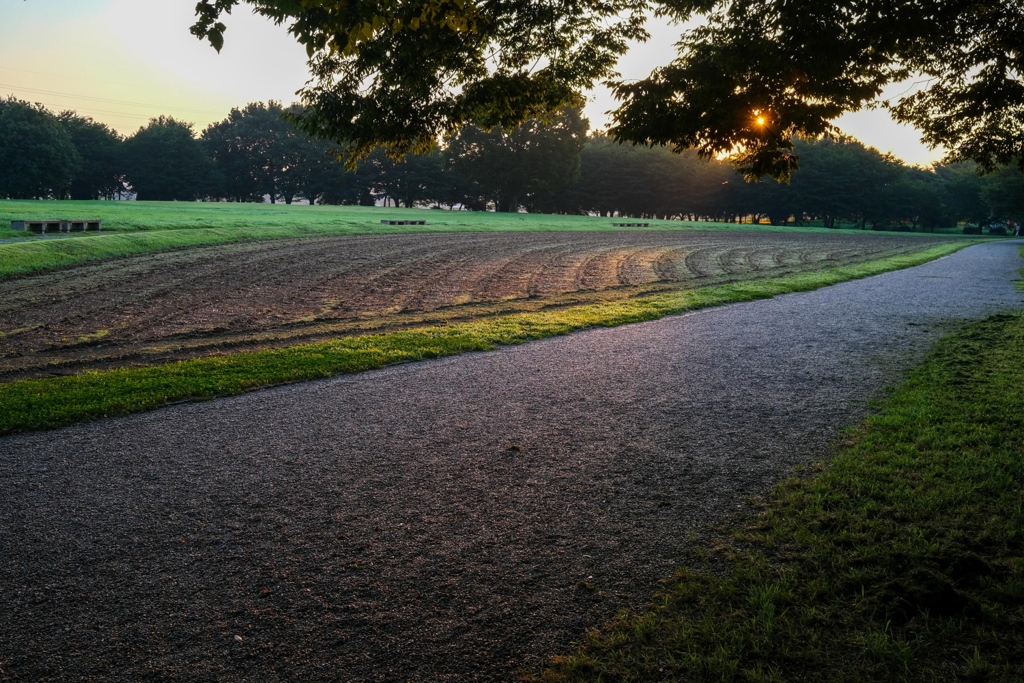 散歩道　大室公園　1