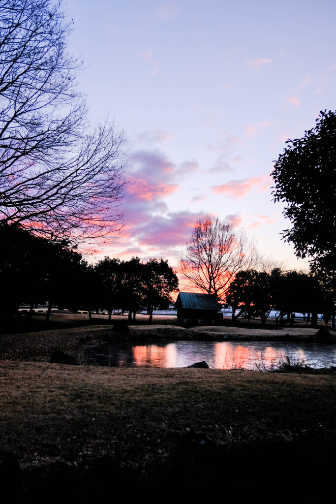 せせらぎ公園