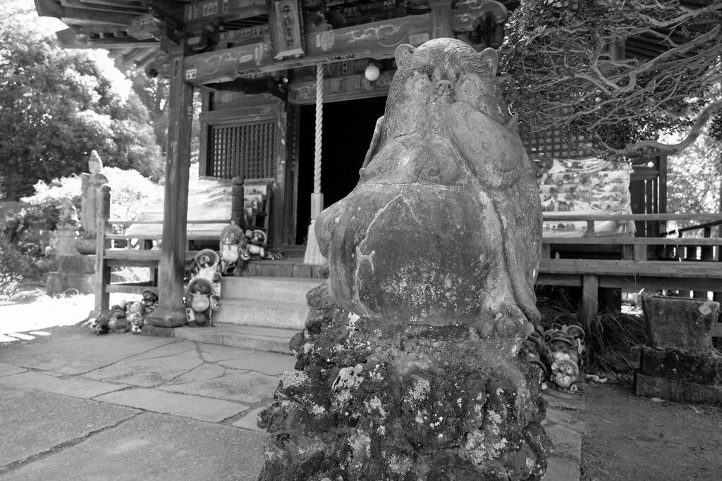 狸　神社　（茂林寺）
