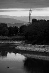 散歩道　