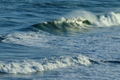 波と遊ぶ、