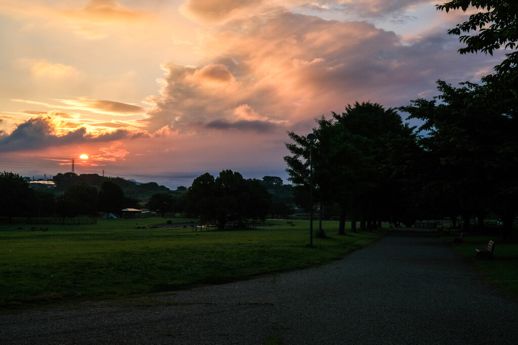 散歩道