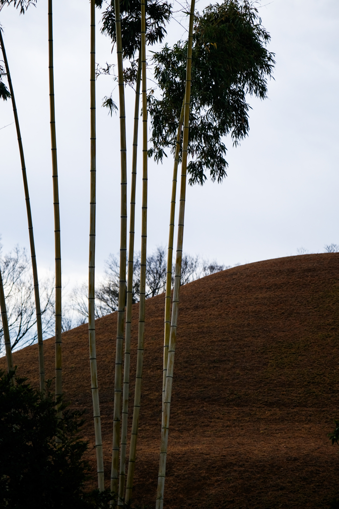 二子山古墳（前橋市）