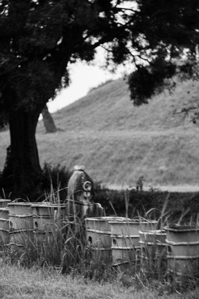 古墳公園　（二子山）