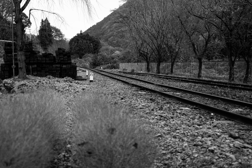 渡良瀬渓谷鉄道