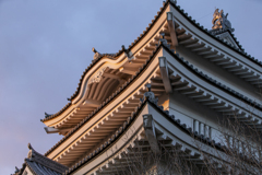 忍城御三階櫓