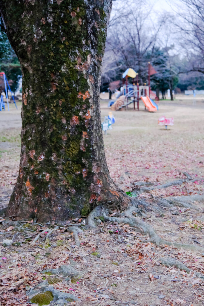 春を待つ