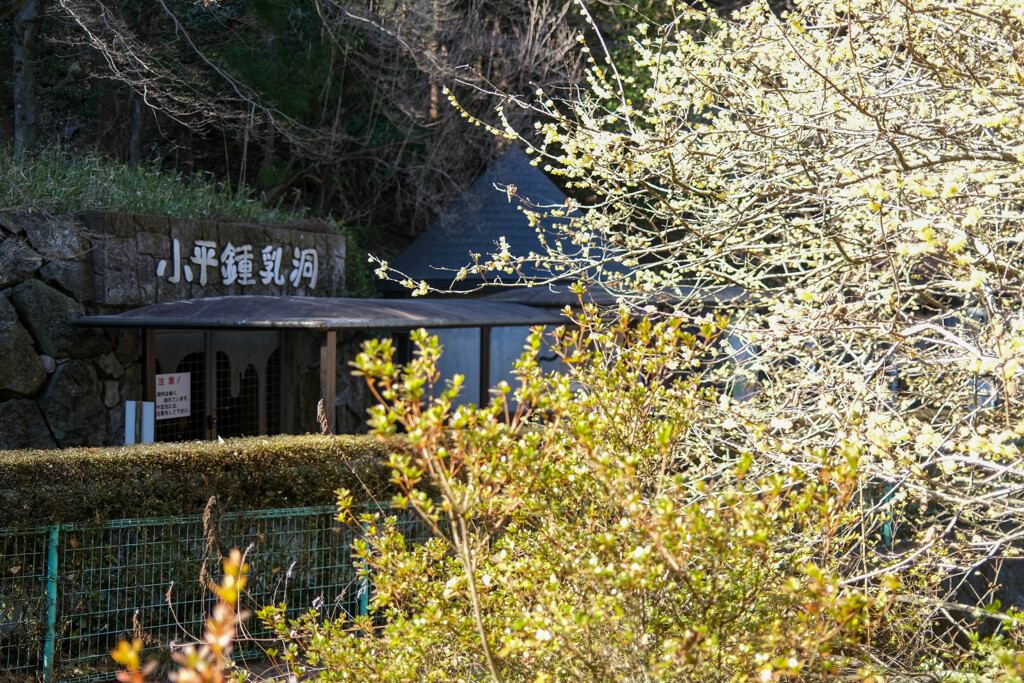 小平の里　みどり市