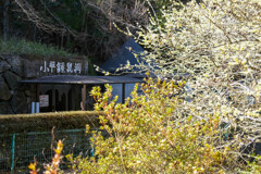 小平の里　みどり市