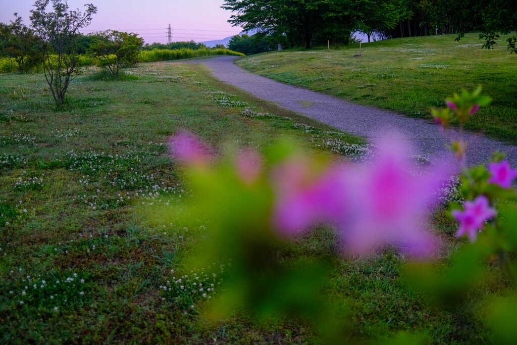 古墳公園