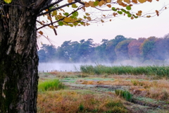 大室公園です。