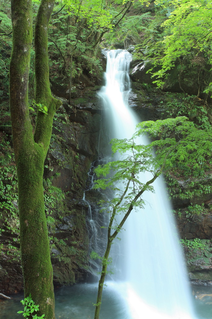 みどり市のたき、