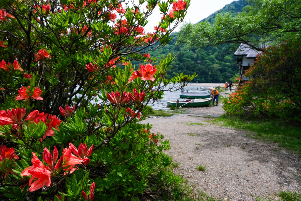 湯の湖畔　