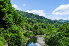 渡良瀬渓谷鉄道　