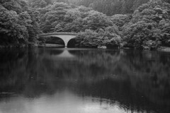 雨の湖畔（碓氷湖）