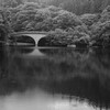 雨の湖畔（碓氷湖）