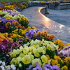 輝く花園　大室公園